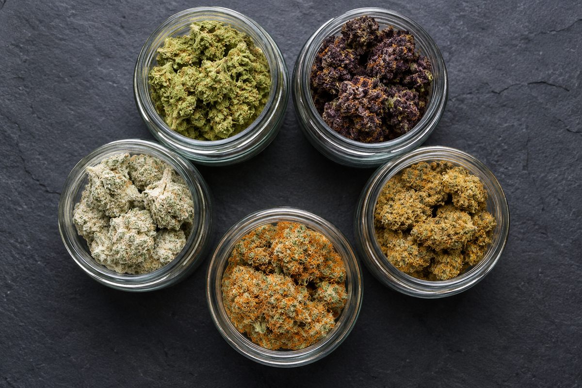 Jars of different cannabis strains